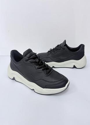 Кросівки ecco