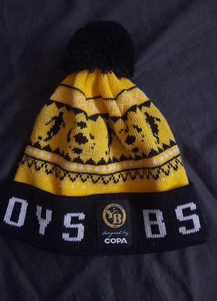 Шапка fc yb, щуцария берн