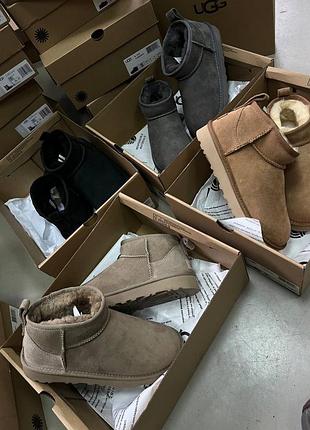 Ugg classic ultra mini  укорочені жіночі уггі