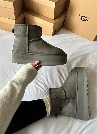 Кросівки чоловічі, кросівки жіночі, 1в1 люкс якість, шкіра, ugg premium mini platform grey, ananas-154