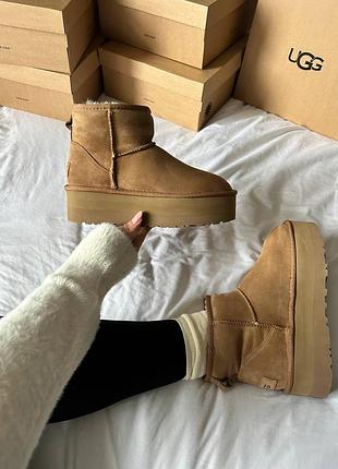 Кроссовки мужские, кроссовки женские, 1в1 люкс качество, кожа, ugg premium mini platform beige, ananas-153