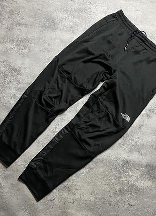 Спортивні штани the north face