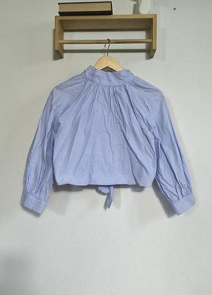Голубая блуза хлопок zara