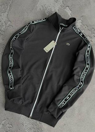 Олимпийка lacoste серая кофта мужская / женская