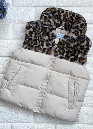 Primark 3-4 р зріст 104