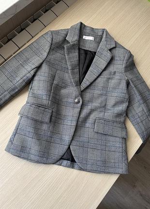 Піджак collarbear 140 на 9-10 р