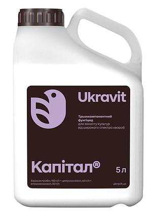 Фунгицид капитал 5л