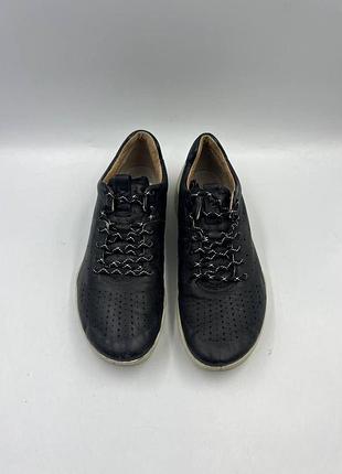 Ecco biom 2