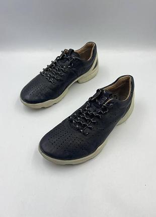 Ecco biom 3