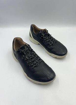 Ecco biom 4