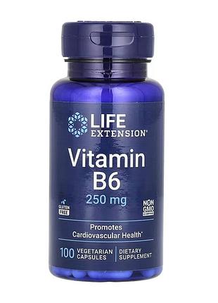 Vitamin b6 250 mg - 100 vcaps