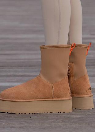 Кроссовки мужские, кроссовки женские, 1в1 люкс качество, кожа, ugg classic dipper boot chestnut, inter-2386