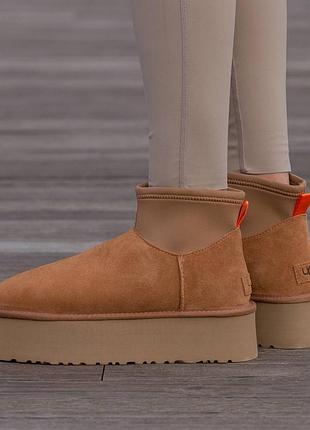Кроссовки мужские, кроссовки женские, 1в1 люкс качество, кожа, ugg classic dipper boot mid chestnut, inter-2402