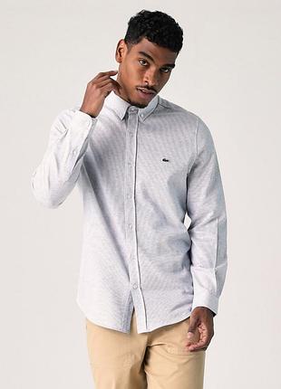 Брендова чоловіча сорочка lacoste slim fit (розмір 38 / s-m) оригінал, блакитна.