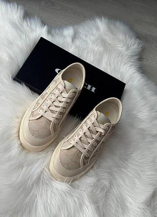 Кеди coach коуч коач коричневі бежеві чорні