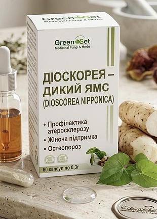 Greenset диоскорея нипонская дикий ямс корень 300мг. 60 капсул