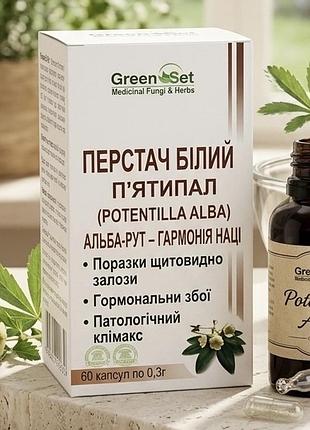 Green set перстач белый - пятипал - альба – рут – гармония йода (potenlilla alba) 60 капсул 300мг альба