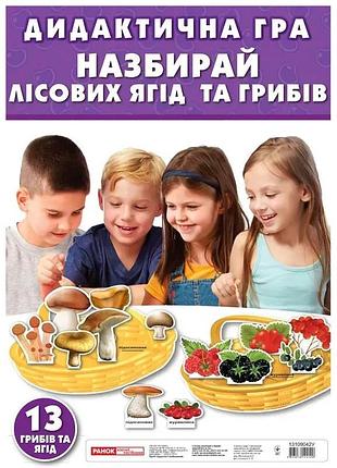 Дидактическая игра "грибы. ягоды" 13109042, 13 грибов и ягод