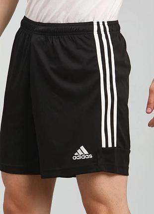 Спортивні шорти, шорти для занять спортом adidas