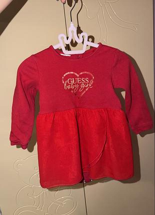 Боді guess