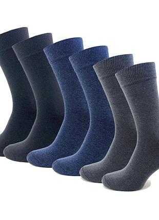Класичні чоловічі шкарпетки casual 35-47 three color високі демісезонні носки хб 35-41