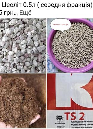 Продаж комнатных растений 9