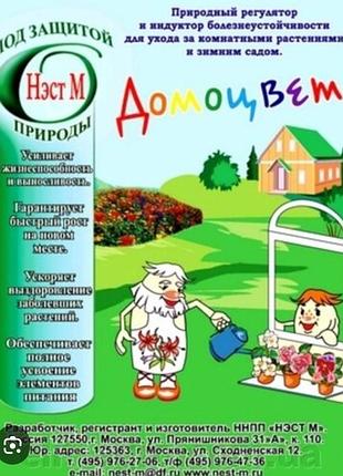 Продаж комнатных растений 10