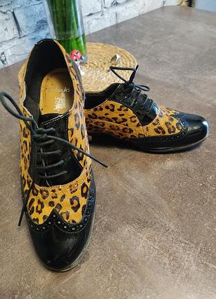 Шикарні туфлі clarks