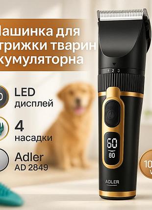 Машинка для стрижки собак со сменными насадками, электрическая машинка для стрижки кошек dj-40