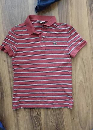 Поло lacoste розмір xs