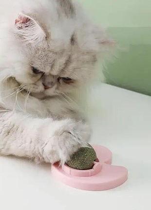 Котяча м'ята іграшка для котів pet toyand-136