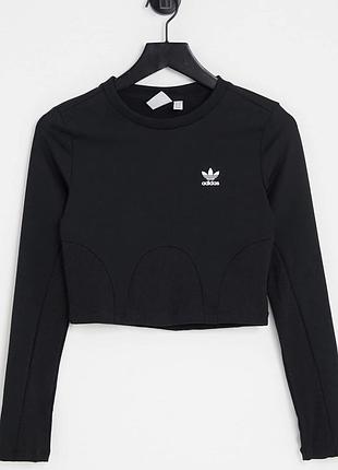 Спортивний укорочений лонг adidas originals