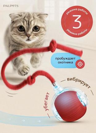 Мяч для кошек. интерактивный мячик для кота and ly-1253