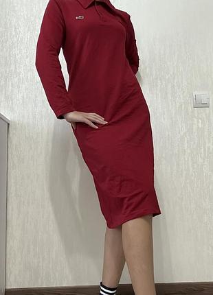 Сукня-поло бренду lacoste