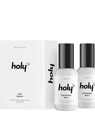 Набір холодне відновлення для волосся - holy cold restore, 100+100ml