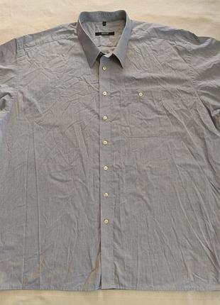 Брендовая мужская рубашка eterna excellent (размер 50 / 3xl-4xl) / серо-голубая рубашка с коротким рукавом
