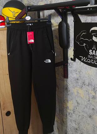 Спортивні штани  the north face