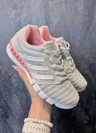 Кросівки сітка adidas