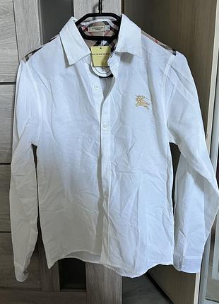 Сорочка burberry
