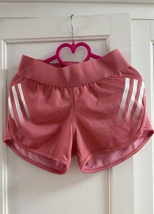 Рожеві спортивні шорти від adidas