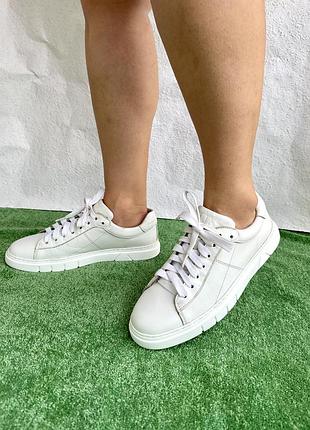 Шкіряні кросівки  jeremiah gabor