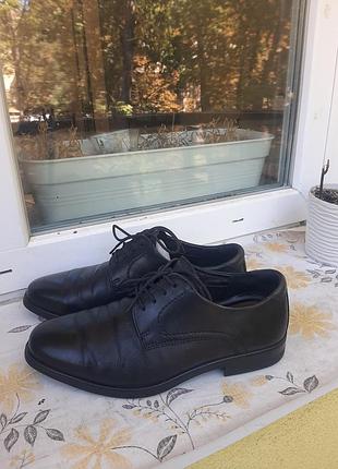 Ecco melbourne (артикул 621634) 2