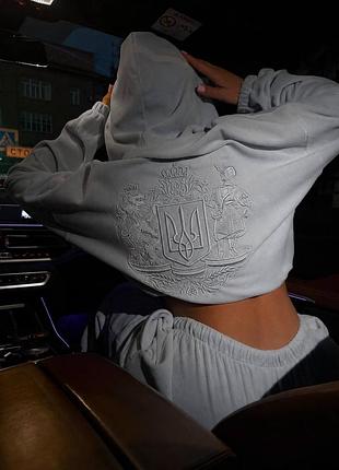 Жіночий повсякденний велюровий костюм двійка штани та кофта 961 з гермбом
