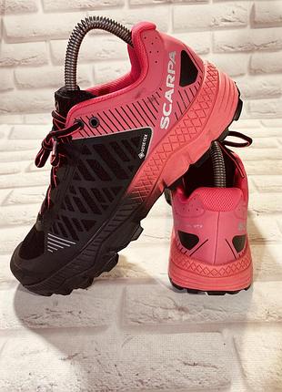 Кросівки scarpa
