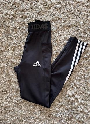 Adidas  лосіни