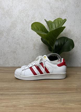 Жіночі шкіряні кросівки adidas superstar розмір 36