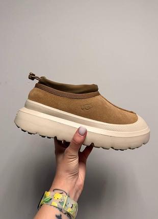 Уцінка уггі жіночі ugg tasman hybrid chestnut beige