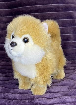 Мʼяка іграшка пес шпіц teddy hermann collection