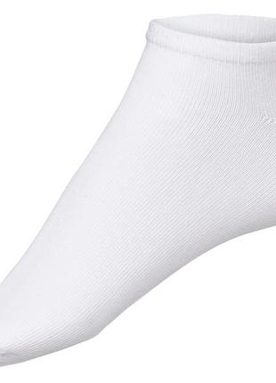Шкарпетки трикотаж короткі для чоловіка livergy lycra® 418120-1 43-46 білий