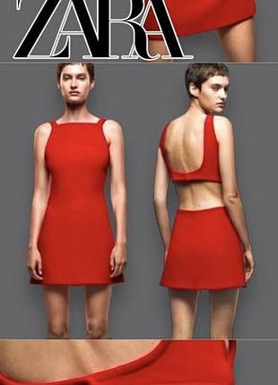 Сукня zara нова 4